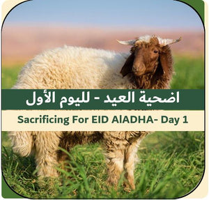 1st Day of EID-Sacrificing Naeimi Sheep 18-22 kg